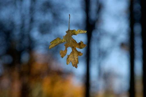 隐入尘埃,探寻尘封岁月的秘密