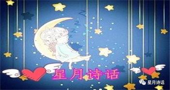 明月有相逢,共赴明月有相逢之约